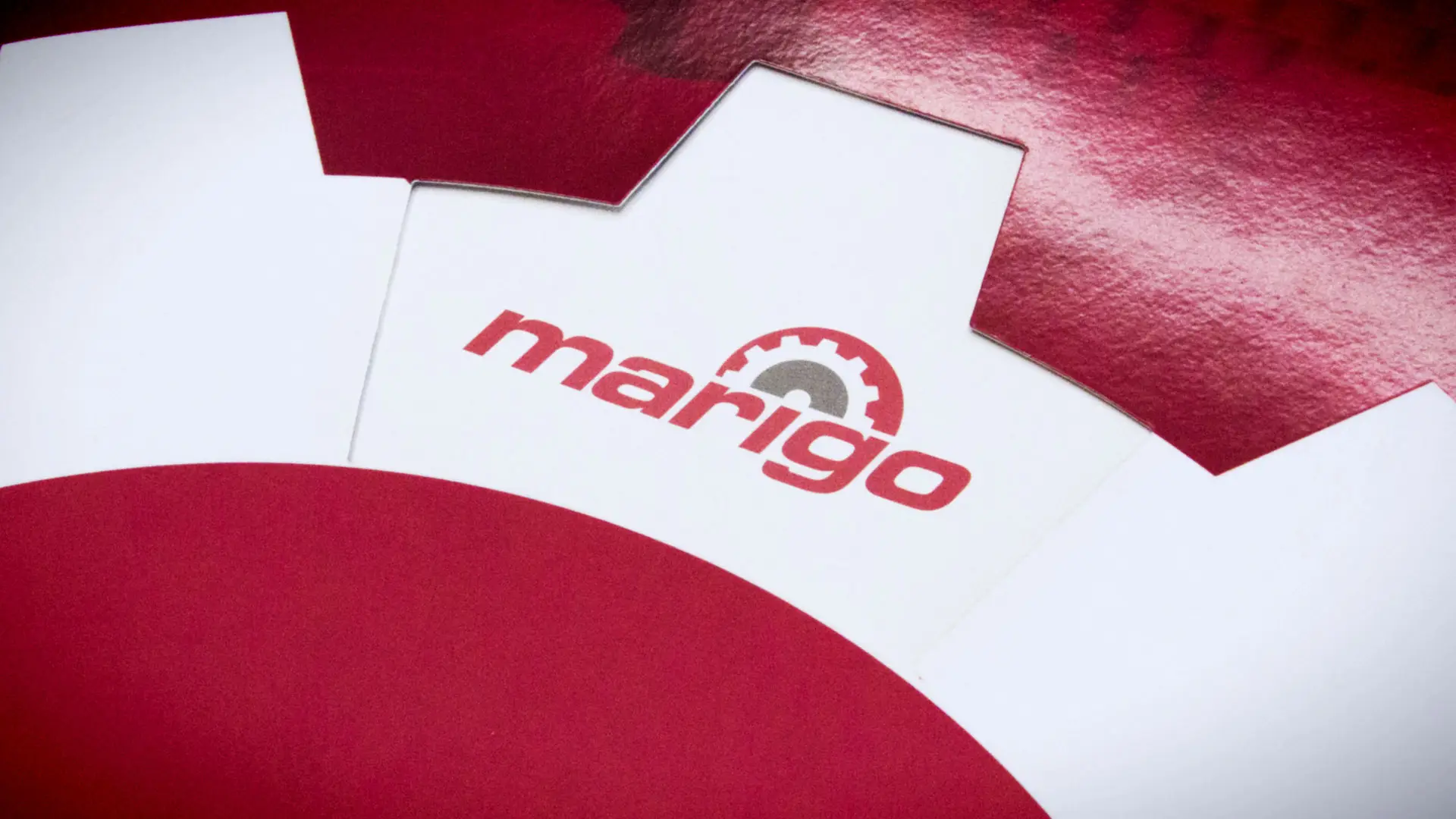 marigo_logo_risultato