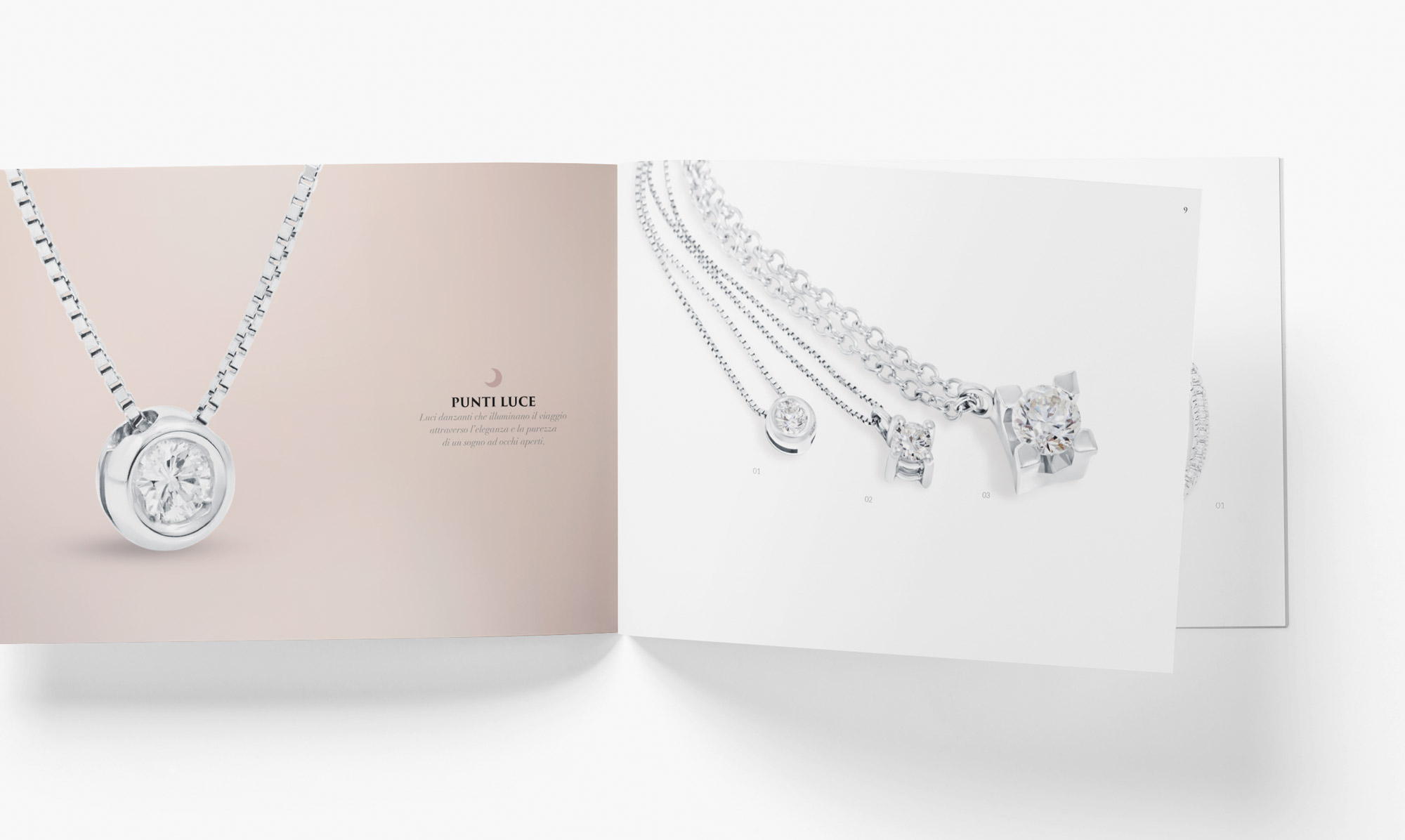 sarni-brochure