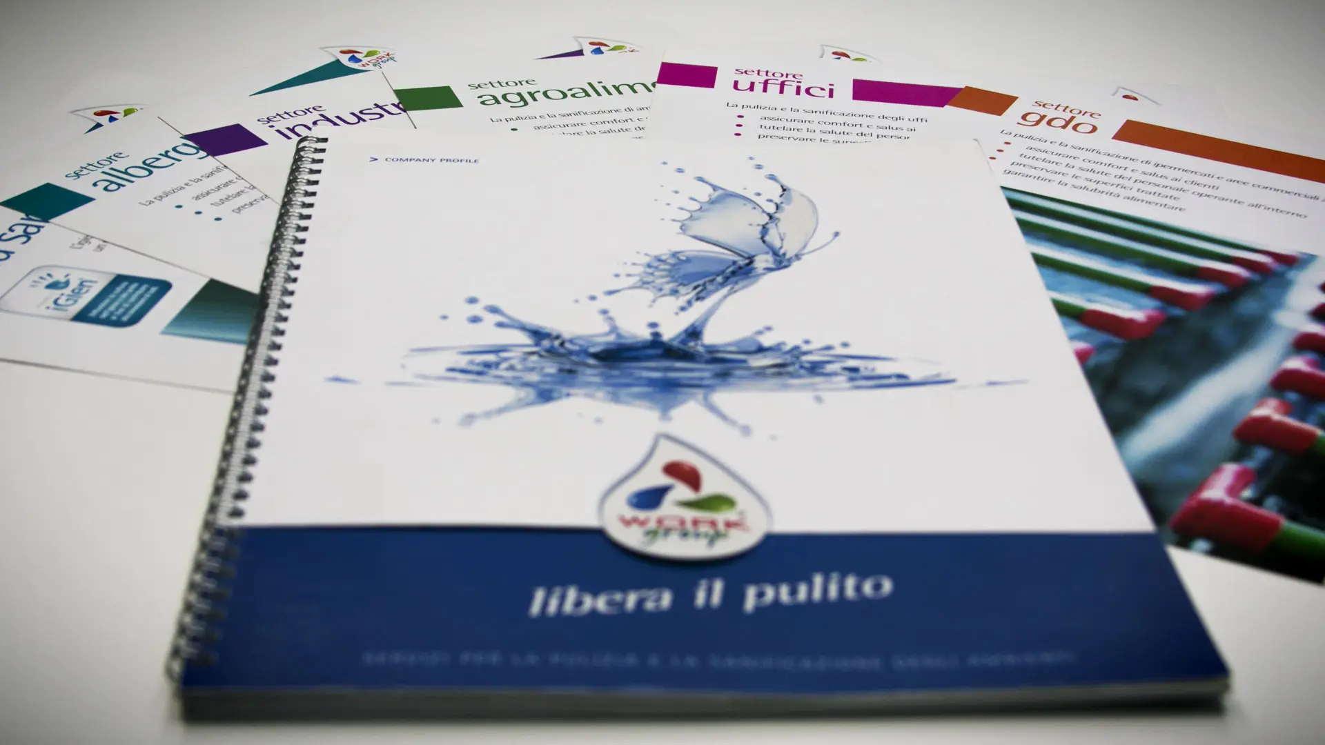 workgroup_brochure7_risultato